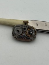 AV Philip Watch Extra Lady